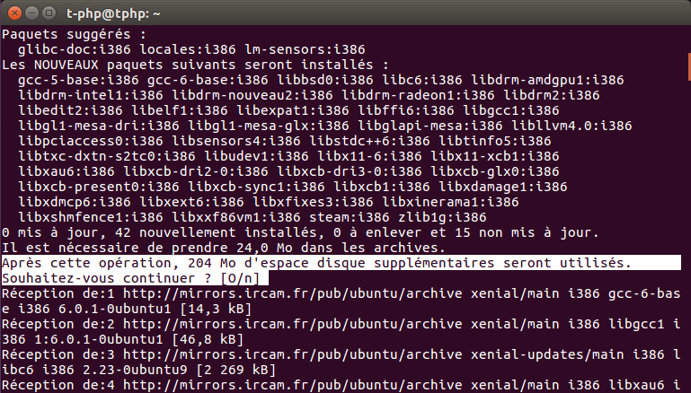 Steam sur Ubuntu : confirmation d'installation